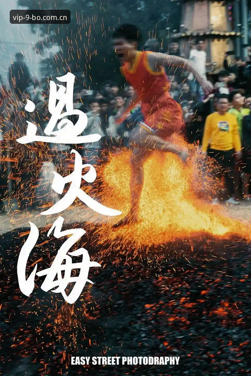 揭秘9博体育平台：BO官方入口必备背后的真相